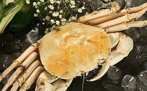 进口螃蟹批发 美国雪蟹 新鲜鲜活雪蟹 冷冻进口鲜活海产品