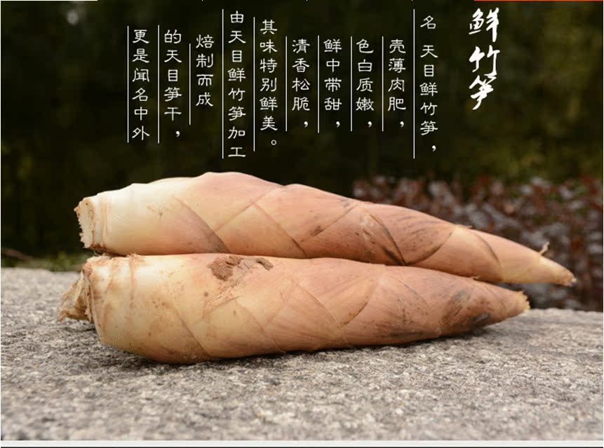临安天目山春笋雷笋新鲜蔬菜自然笋包邮1斤6-9个左右5斤包邮