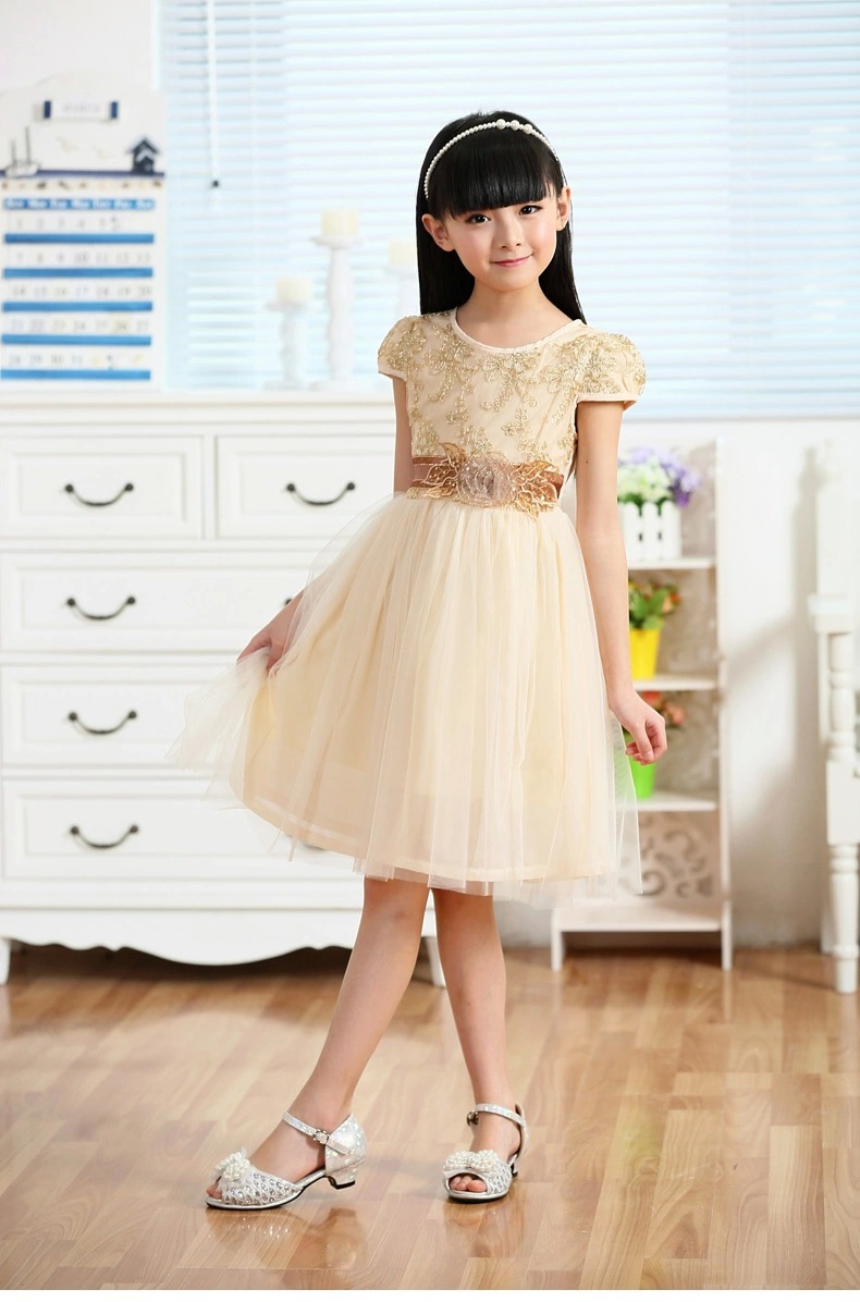 童装女童连衣裙夏装儿童公主裙女童短袖连衣裙 批发一件代发