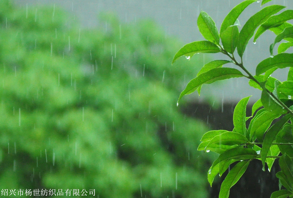 虽然挺天气预报说有雷阵雨,却仍然没有想到这雨势,看来也是被早上的