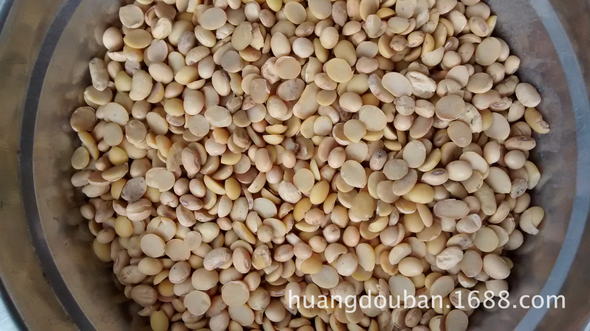 安徽亳州色选黄豆瓣【 安徽黄豆 做豆腐 豆干 豆皮 色选机挑选 制豆粉