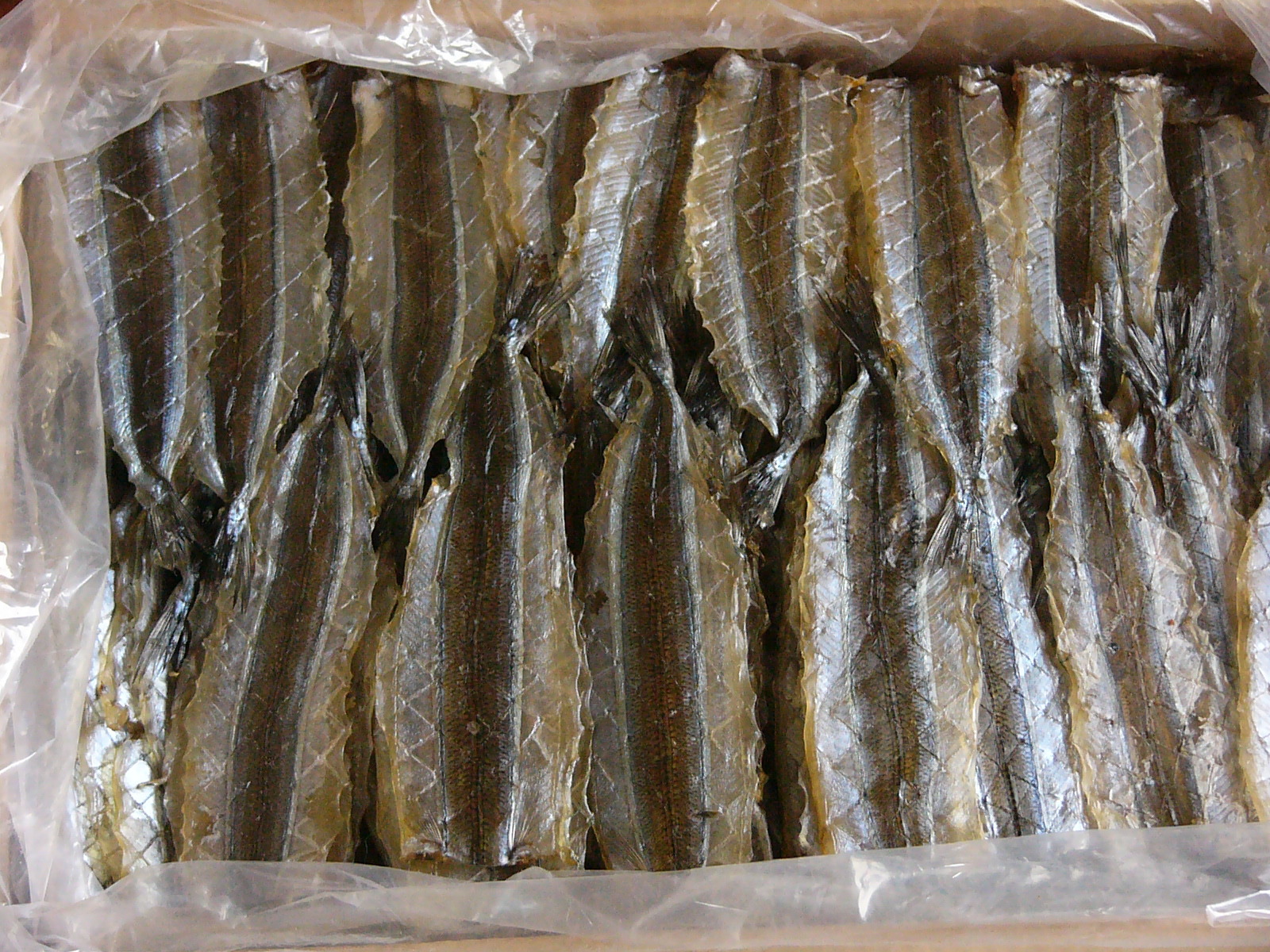 信智 休闲零食现烤马步鱼片针鱼片原料批发