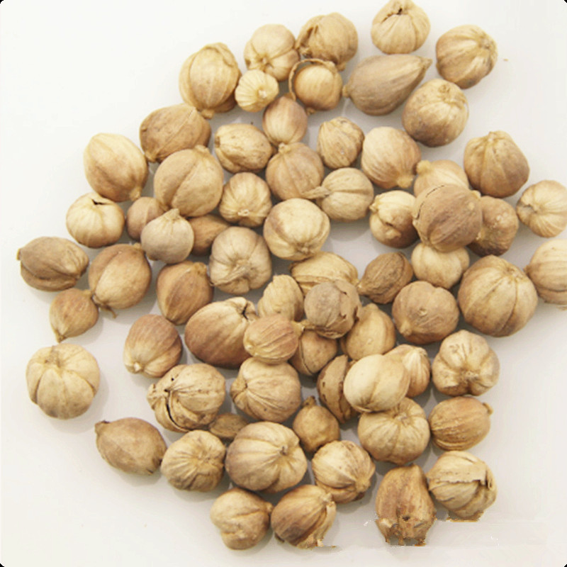 批发优质香料海南白豆蔻白叩白肉蔻 温中散寒行气止呕 亳州中药材