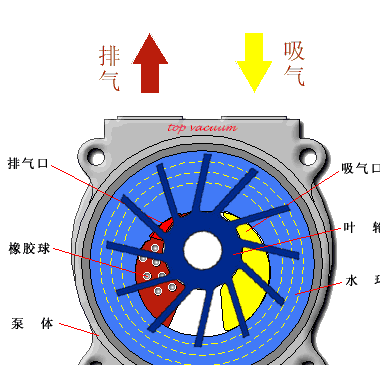 供应sk-1.5水环式真空泵