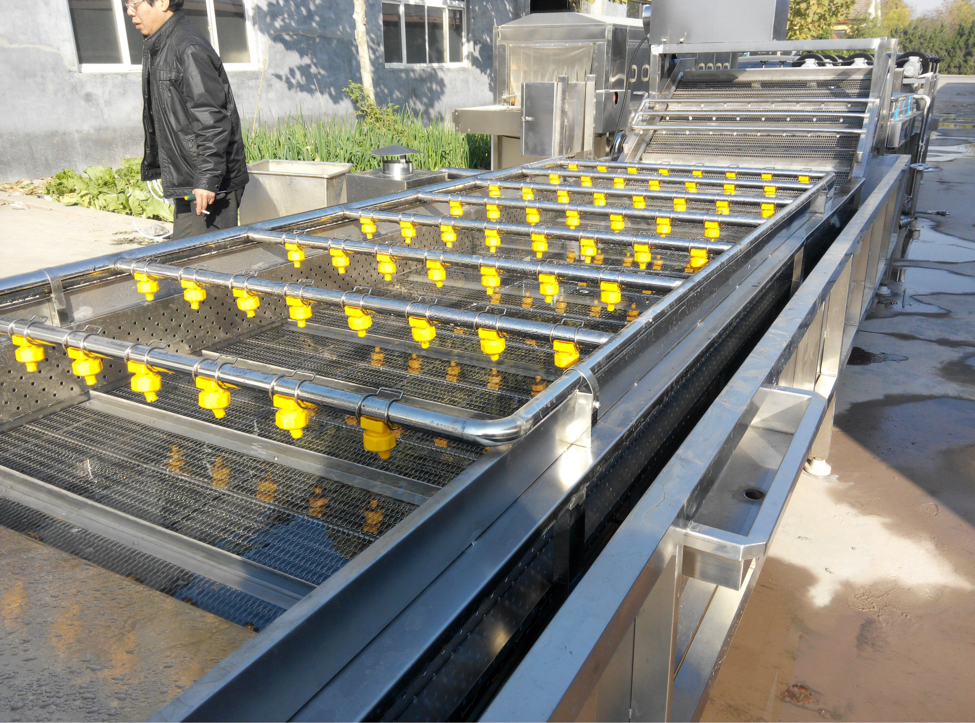 大枣加工生产线,红枣清洗加工流水线-厂家直接供货