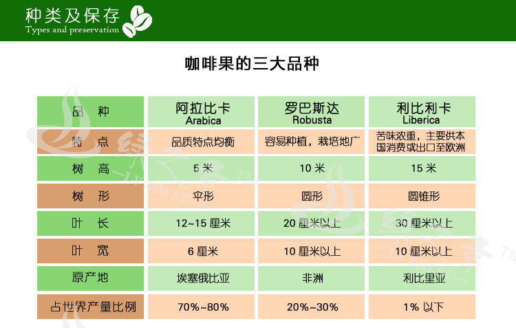 巴西黄波旁精品咖啡生豆 原装进口庄园级精品生咖啡豆500g