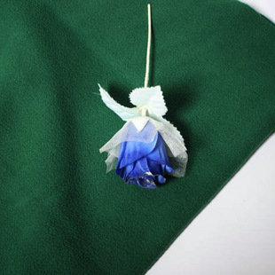 热销新品 双刷单摇面料 单刷单摇超细摇粒绒