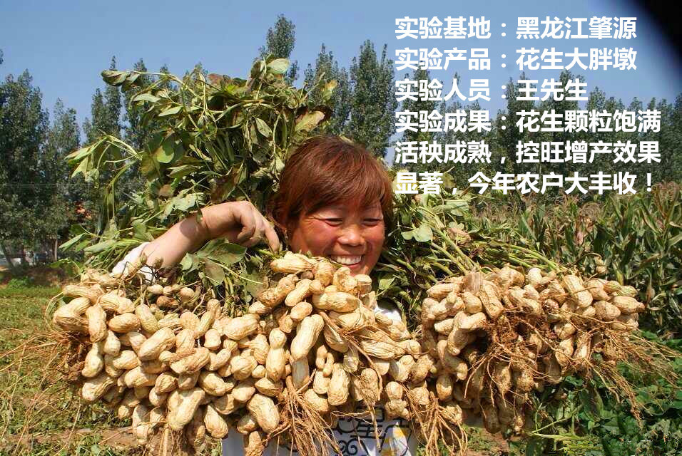 供应叶面肥调节剂 大胖墩 花生控旺 高产矮壮膨大活秆成熟专.