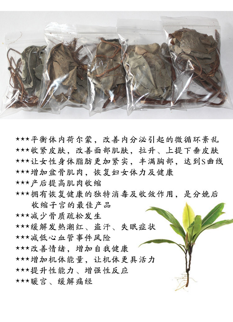 正品 卡琪花 正品卡琪花蒂玛 卡琪法蒂玛 卡其花蒂玛 卡其花茶