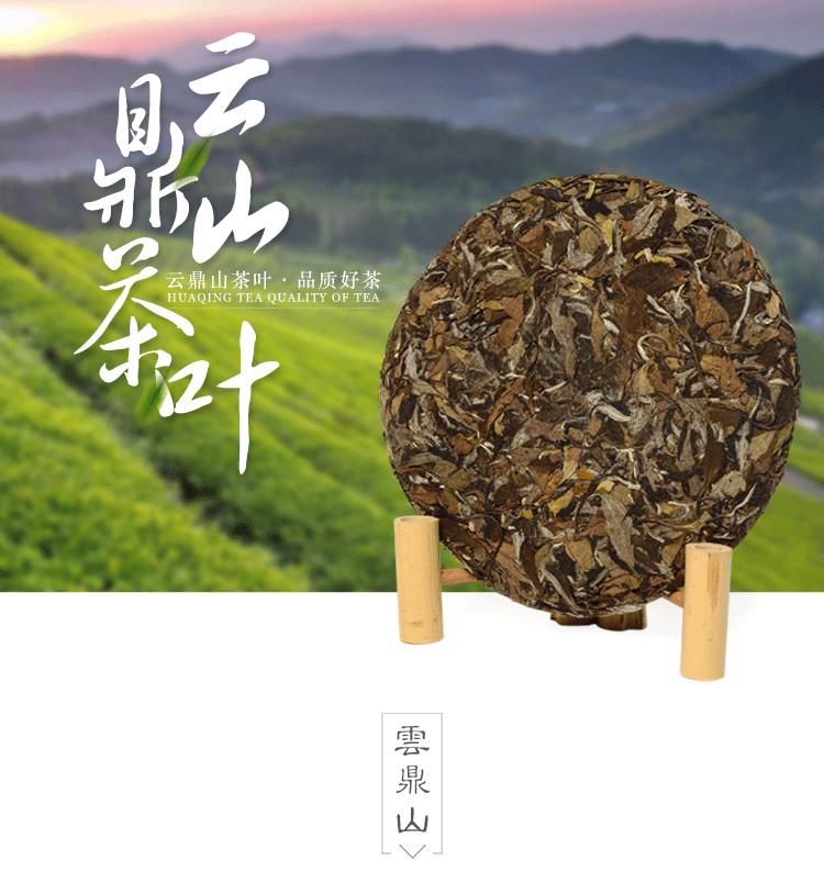 福鼎白茶云鼎山茶叶批发特级2013贡眉白茶饼非绿茶安吉白茶