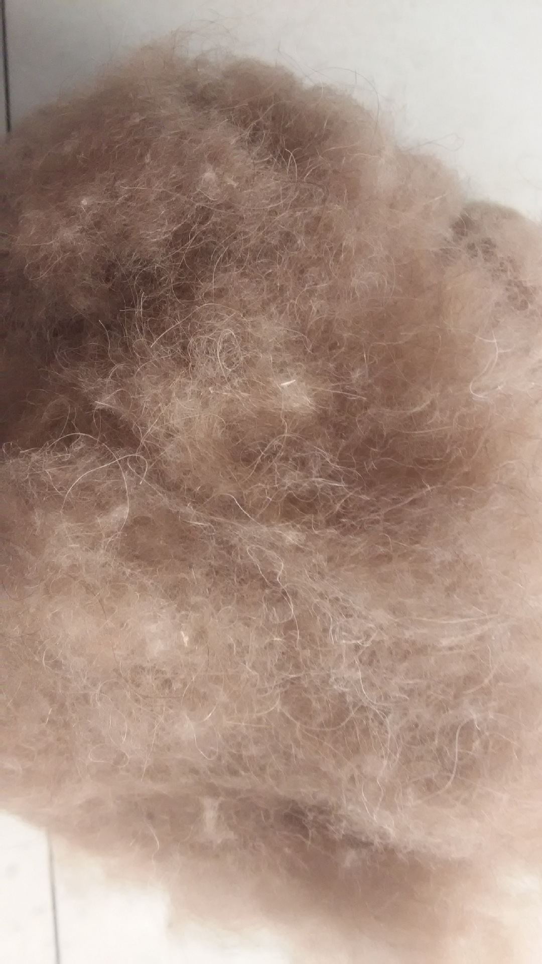 厂家供应分梳粗支骆驼毛,适用于被子服装填充,毛纺等 水洗驼毛