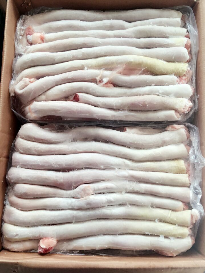 专业经销猪副产品 山东冷冻猪食道管 精选食道管 特级猪食道管