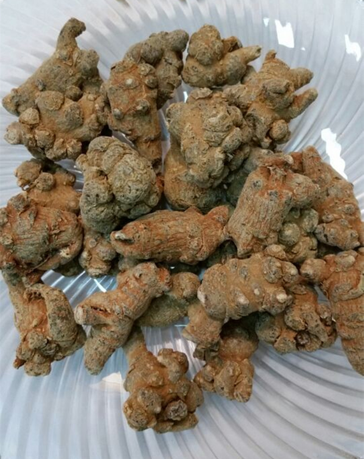 产地直销云南文山三七50头 原色不打蜡有机三七 降血压降血脂