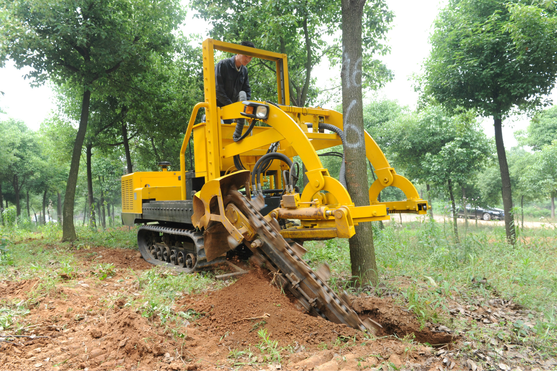 挖树机 树木起挖 苗圃大树起挖