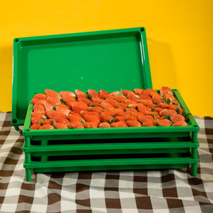 草莓托盘