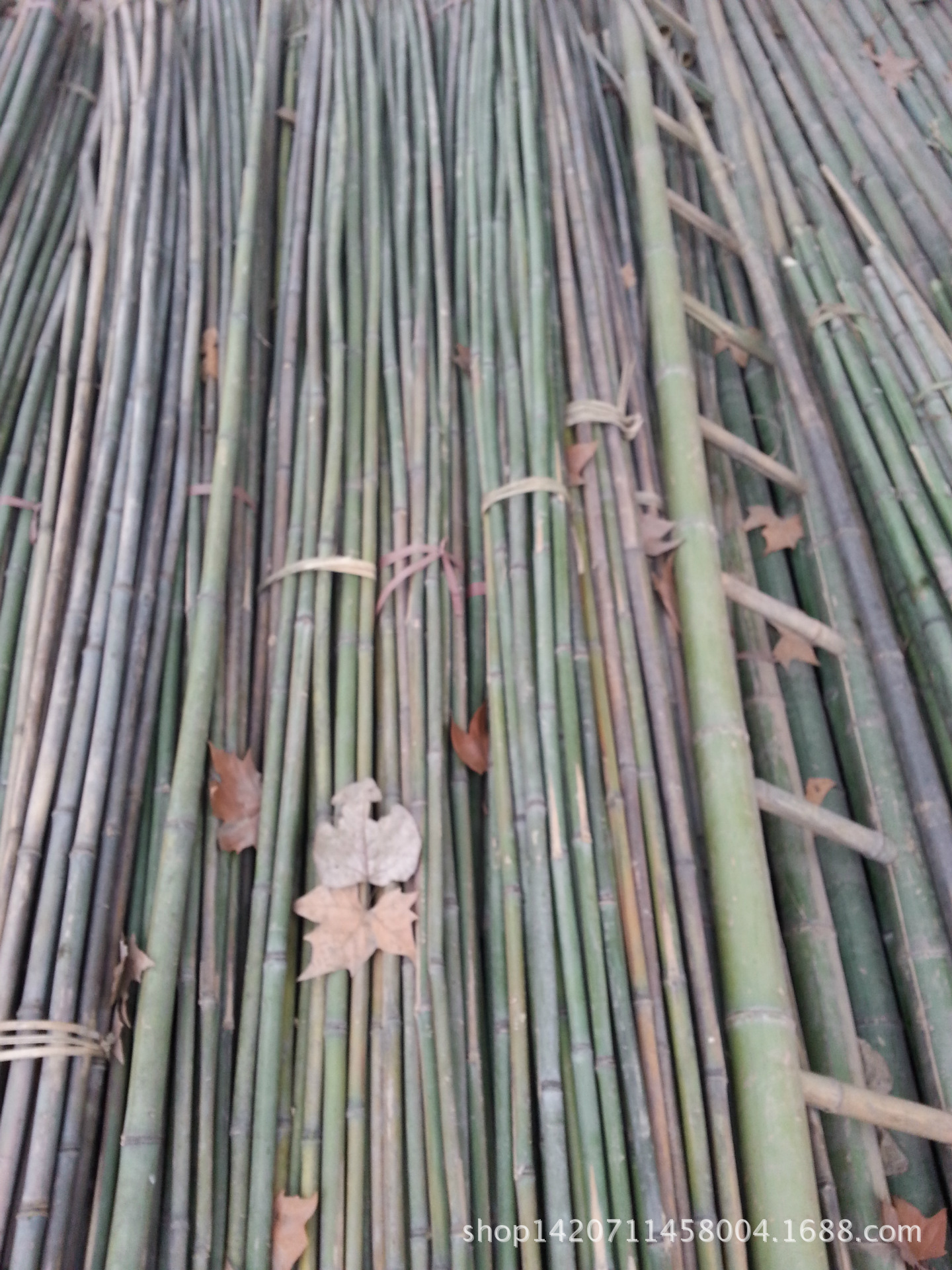 成都批发优质各种规格长度竹子竹竿楠竹7米8米直径68公分