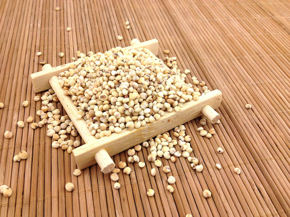 高粱又称红粮,蜀黍,古称蜀秫.