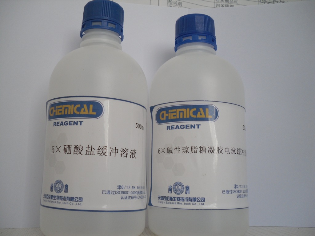 1×硼酸缓冲盐溶液ph8.