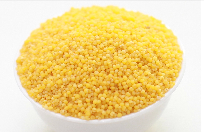 2014新米东北特产有机小米子纯绿色小米子月子餐小黄米原产.