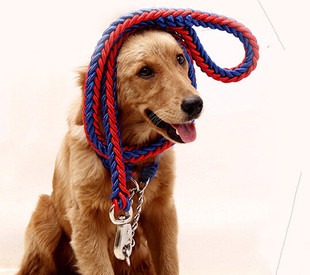 eyepeta 尼龙八股圆绳编织狗绳 宠物狗牵引绳 狗牵引绳大型犬