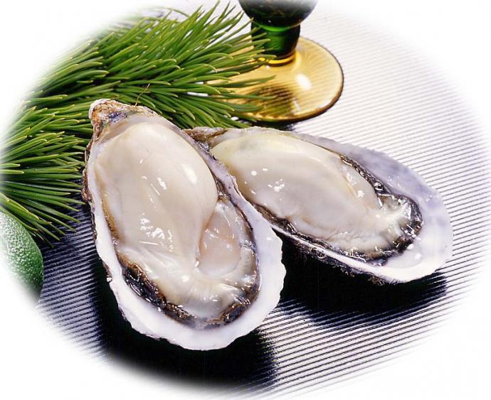 法国大粒牡蛎 生鲜海味 法国生蚝2号 美味西餐_鲜活水产品_列表网b2b