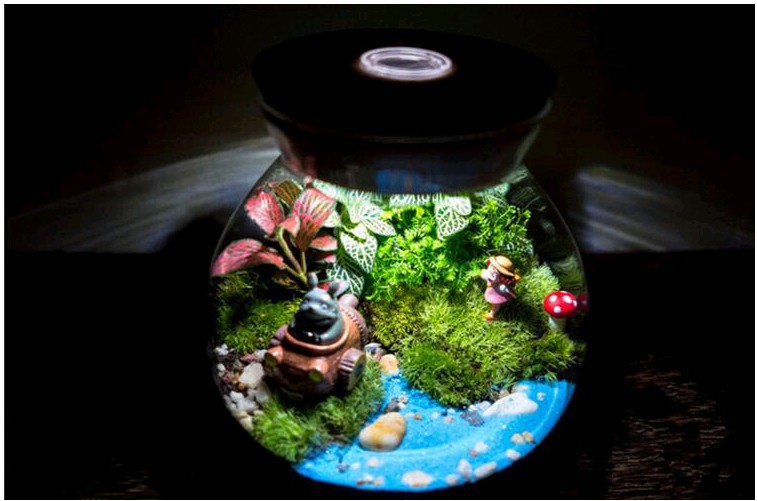 微景观玻璃生态瓶玻璃密封罐储物罐微型植物罐特大号玻璃带盖景观