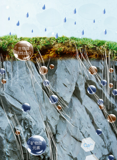 雨水携带土壤中的天然生物体活性成分,进入岩石层,与沉淀在岩层中的