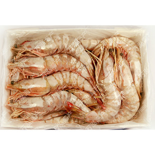 冷冻虾批发