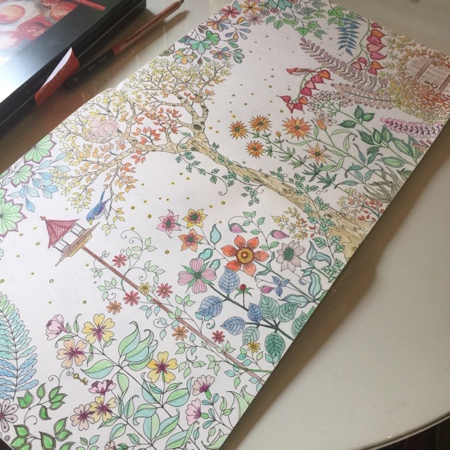 82～140元/本 secret garden韩国流行秘密花园涂色填色书 简体中文版1