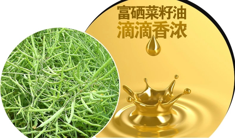 精品热销 浓香富硒菜籽油0.8升 天然食用油 质量保证 经销批发