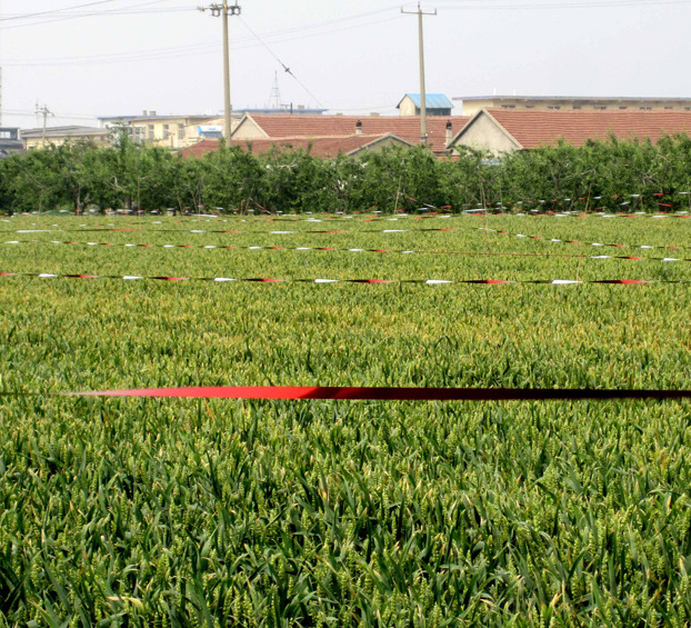 驱鸟带 反光赶鸟惊吓鸟儿 闪光驱赶果园鸟类
