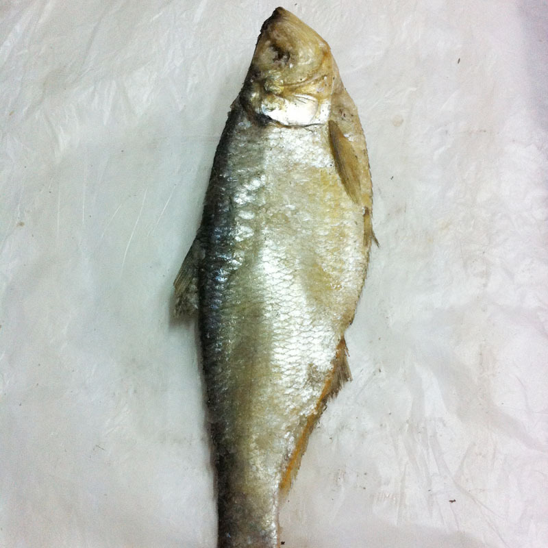 白鳞鱼 山东土特产咸鱼 味美价优居家美食500克 特价销售