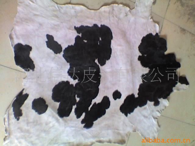 黑白花胎牛毛皮 胎牛毛皮 黑色服装胎牛皮染色
